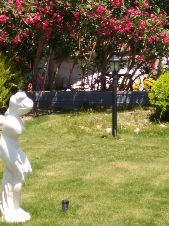 Merveille Suit-hotel Hotel